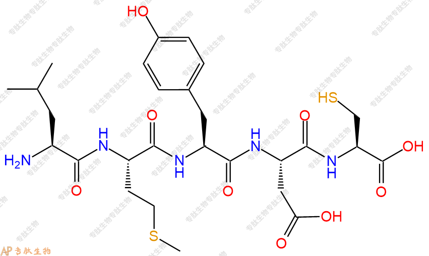 专肽生物产品五肽Leu-Met-Tyr-Asp-Cys