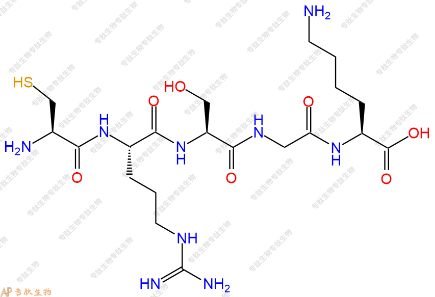 专肽生物产品五肽Cys-Arg-Ser-Gly-Lys