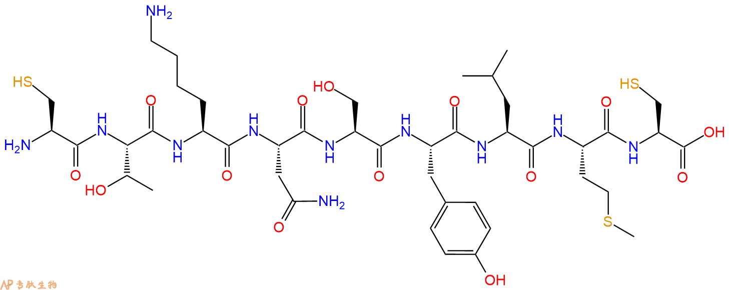 专肽生物产品HUVECs（人脐静脉内皮细胞）靶向肽