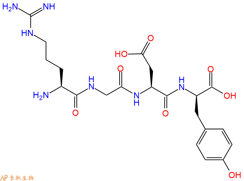 专肽生物产品四肽Arg-Gly-Asp-DTyr