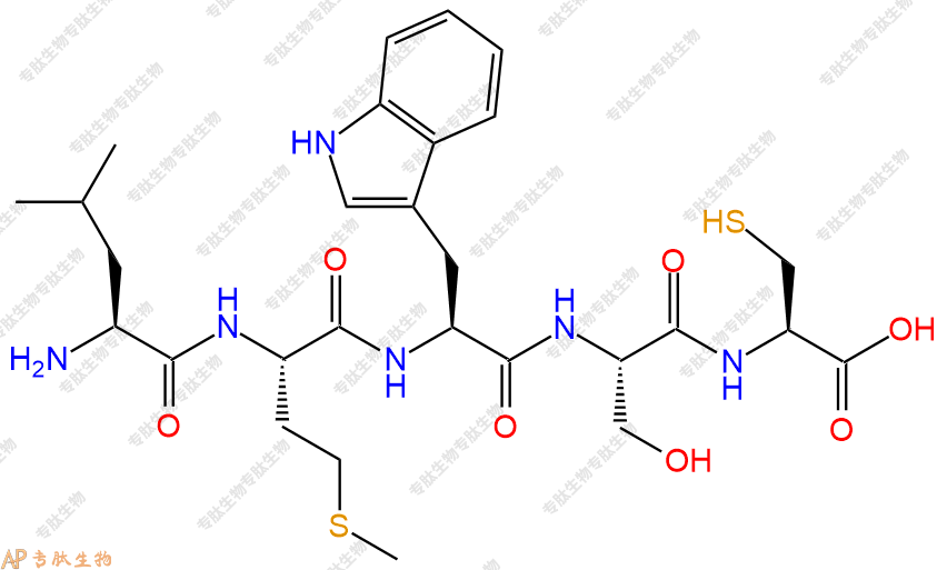 专肽生物产品五肽Leu-Met-Trp-Ser-Cys