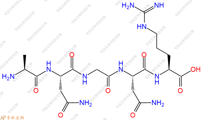 专肽生物产品五肽Ala-Asn-Gly-Asn-Arg