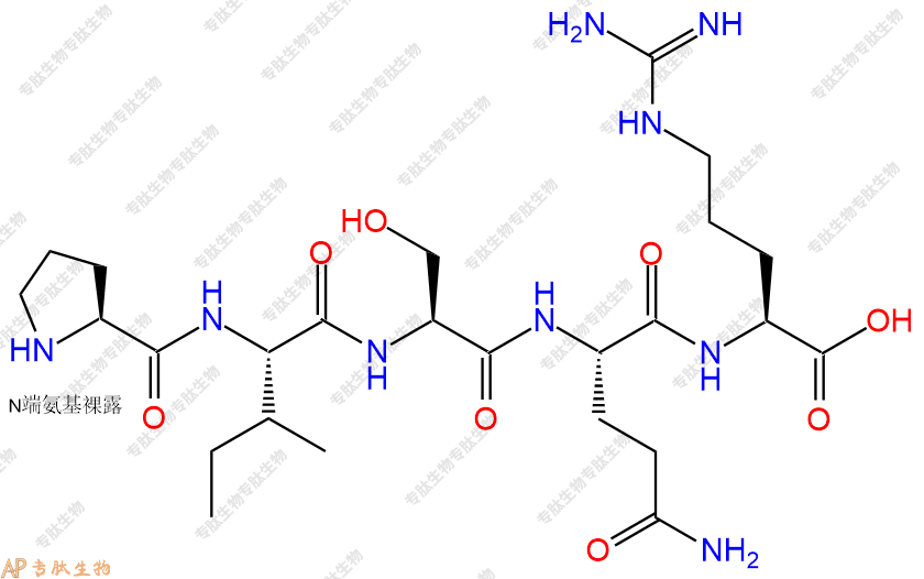 专肽生物产品五肽Pro-Ile-Ser-Gln-Arg