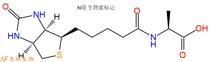 专肽生物产品Biotin-Ala