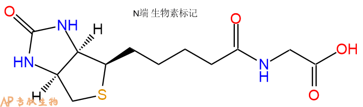 专肽生物产品Biotin-Gly