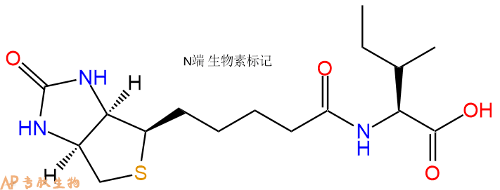 专肽生物产品Biotin-Ile