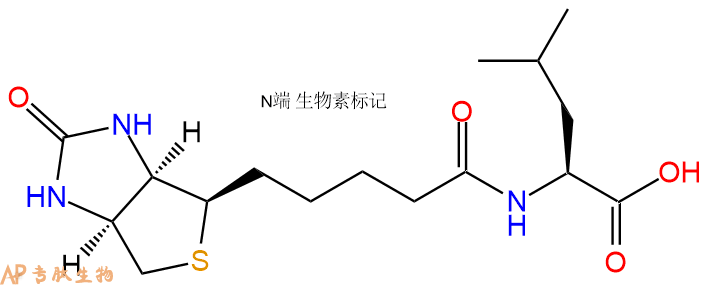 专肽生物产品Biotin-Leu