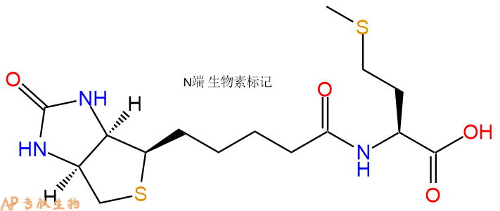 专肽生物产品Biotin-Met