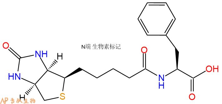 专肽生物产品Biotin-Phe