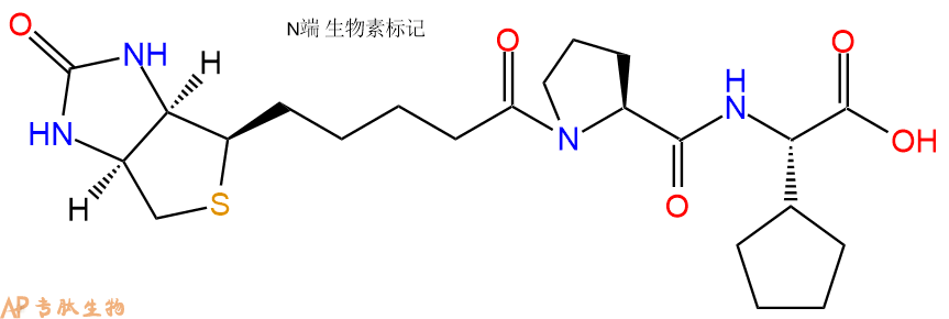 专肽生物产品BIOTIN-Pro-CPG