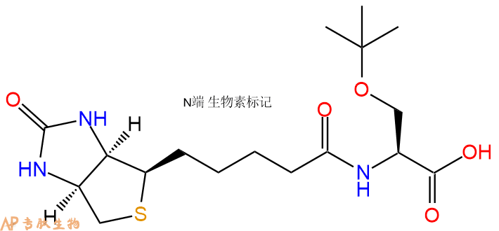 专肽生物产品Biotin-Ser(tBu)