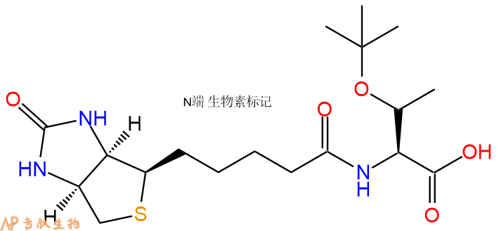 专肽生物产品Biotin-Thr(tBu)