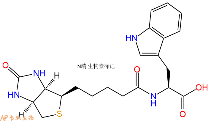 专肽生物产品Biotin-Trp