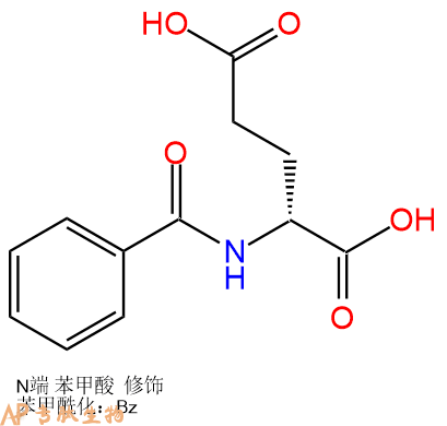 专肽生物产品Bz-Glu