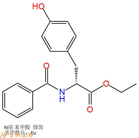专肽生物产品Bz-Tyr-OEt