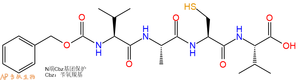 专肽生物产品Cbz-Val-ACV