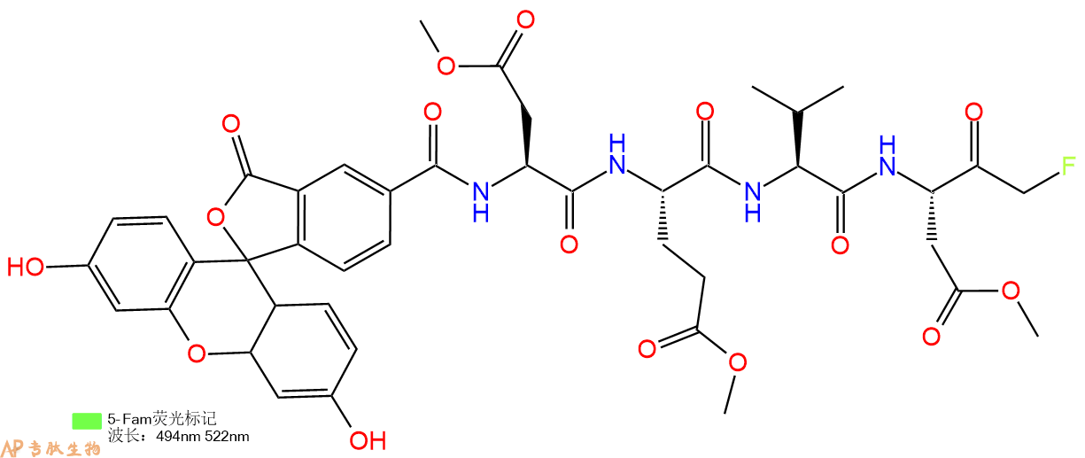 专肽生物产品FAM-Asp(OME)-Glu(OME)-Val-Asp(OME)-FLUOROMETHYLKET1926163-65-6