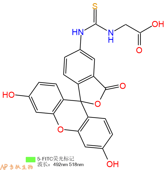 专肽生物产品FITC-Gly