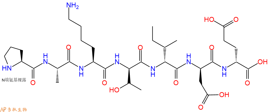专肽生物产品PAKtide