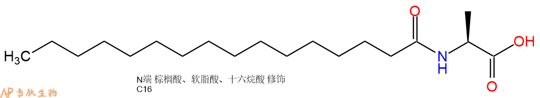 专肽生物产品Pal-Ala