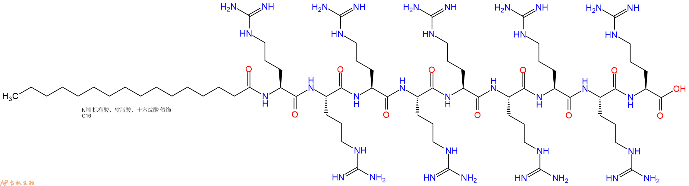 专肽生物产品Pal-Arg-Arg-Arg-Arg-Arg-Arg-Arg-Arg-Arg