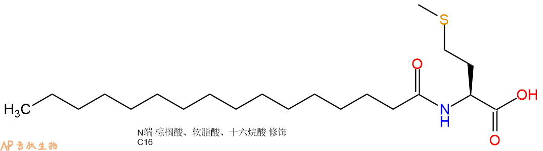 专肽生物产品Pal-Met