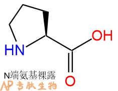 专肽生物产品Pro147-85-3