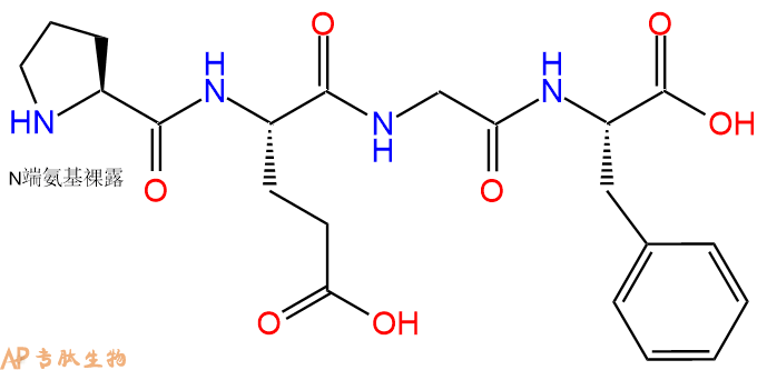 专肽生物产品Pro-EGF