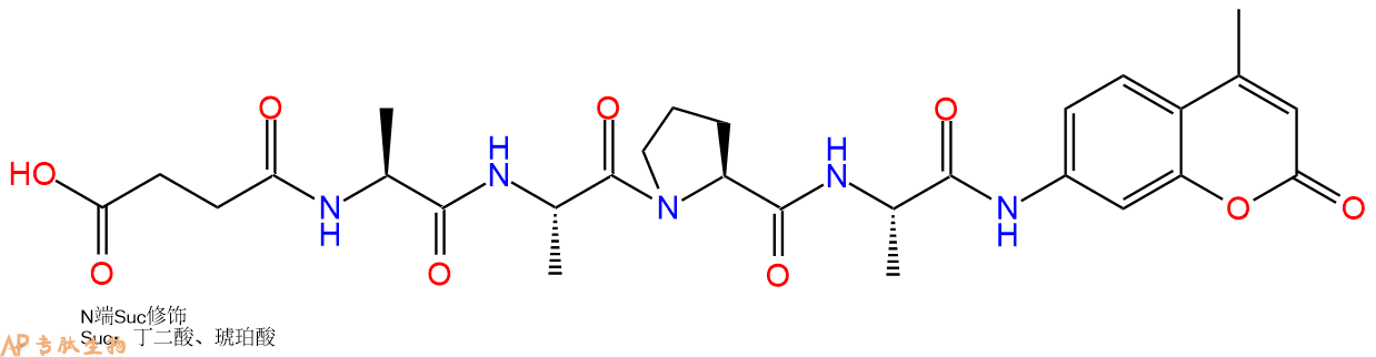 专肽生物产品SUC-Ala-Ala-Pro-Ala-AMC