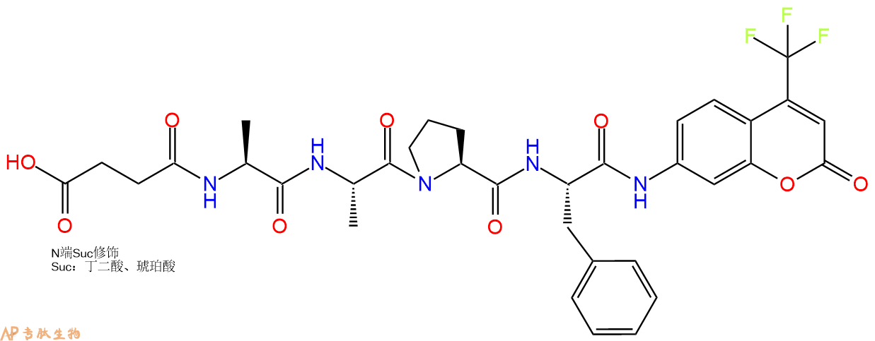 专肽生物产品SUC-Ala-Ala-Pro-Phe-AFC