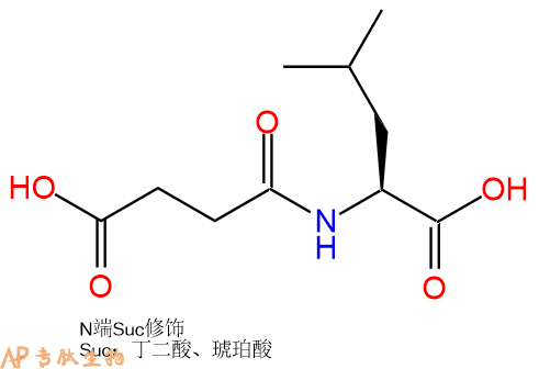 专肽生物产品Suc-Leu