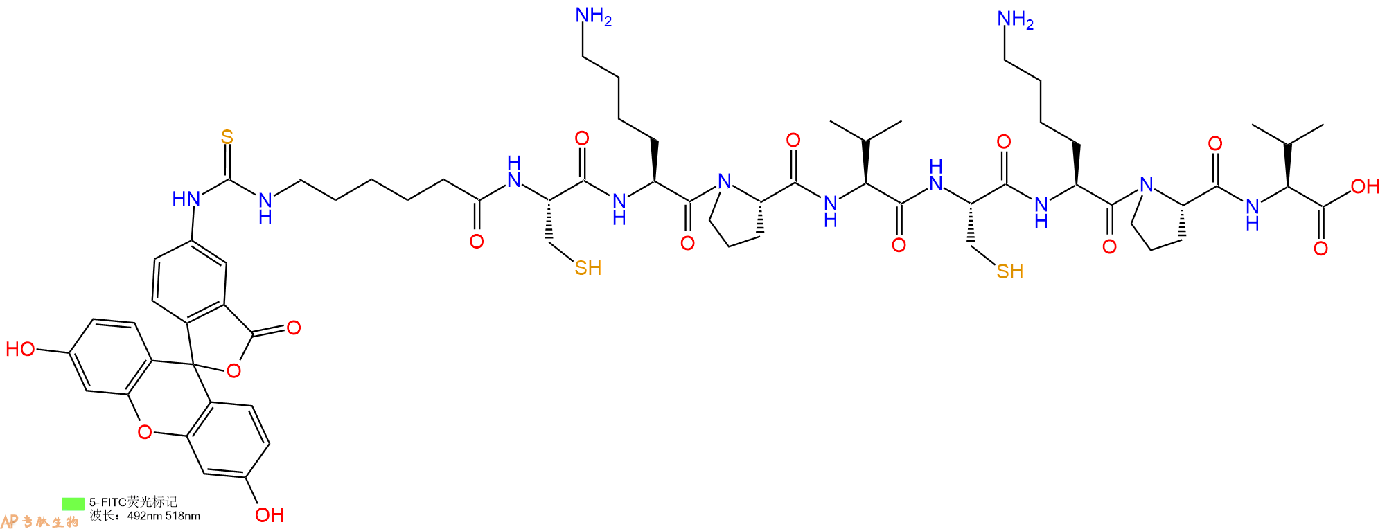 专肽生物产品5FITC-Ahx-Cys-Lys-Pro-Val-Cys-Lys-Pro-Val-COOH