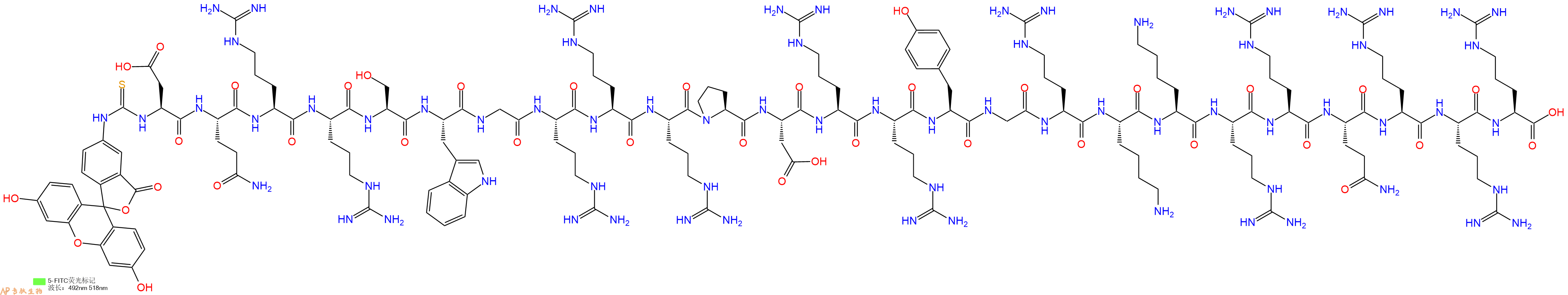 专肽生物产品5FITC-Asp-Gln-Arg-Arg-Ser-Trp-Gly-Arg-Arg-Arg-Pro-
