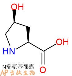 专肽生物产品H2N-Hyp-COOH