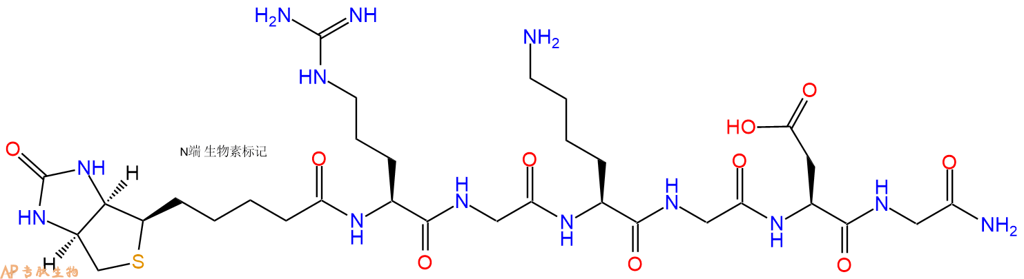 专肽生物产品Biotin-Arg-Gly-Lys-Gly-Asp-Gly-NH2