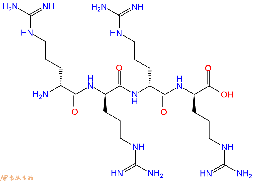 专肽生物产品H2N-DArg-DArg-DArg-DArg-COOH