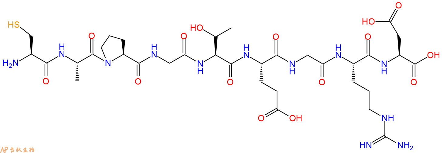 专肽生物产品H2N-Cys-Ala-Pro-Gly-Thr-Glu-Gly-Arg-Asp-COOH