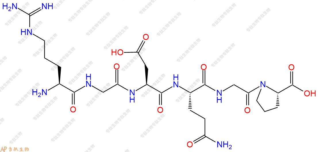 专肽生物产品H2N-Arg-Gly-Asp-Gln-Gly-Pro-COOH