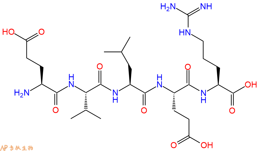 专肽生物产品H2N-Glu-Val-Leu-Glu-Arg-COOH