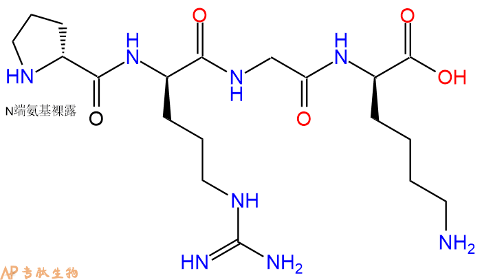 专肽生物产品H2N-DPro-DArg-Gly-DLys-COOH