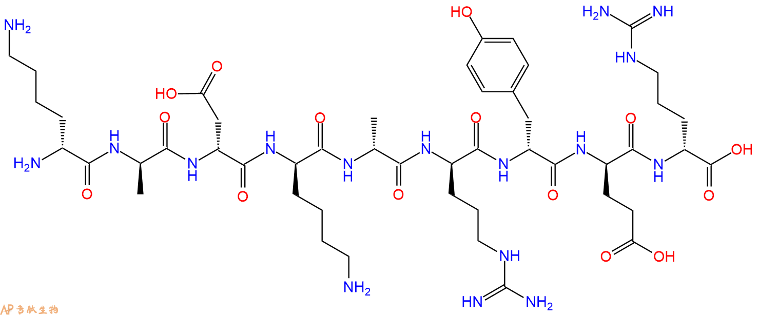 专肽生物产品H2N-DLys-DAla-DAsp-DLys-DAla-DArg-DTyr-DGlu-DArg-C