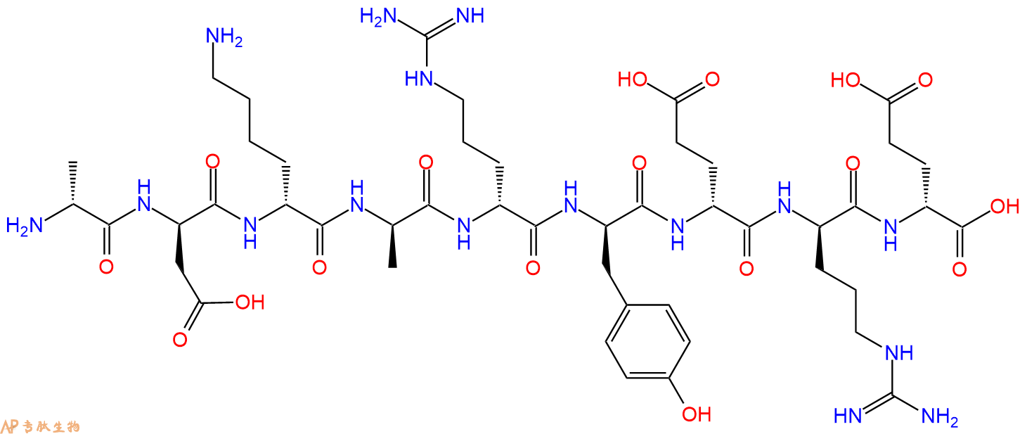 专肽生物产品H2N-DAla-DAsp-DLys-DAla-DArg-DTyr-DGlu-DArg-DGlu-C