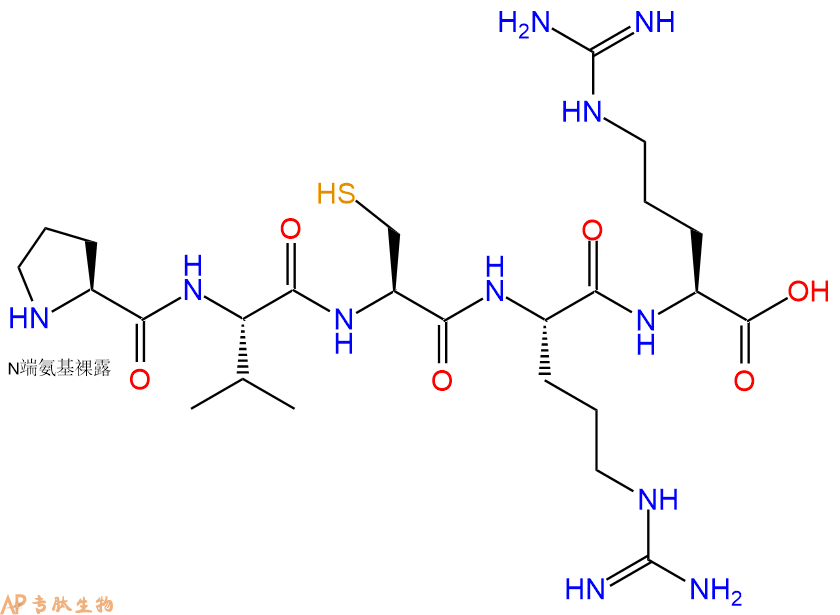 专肽生物产品H2N-Pro-Val-Cys-Arg-Arg-COOH