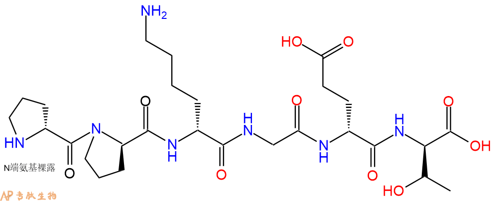 专肽生物产品H2N-DPro-DPro-DLys-Gly-DGlu-DThr-COOH