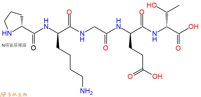 专肽生物产品H2N-DPro-DLys-Gly-DGlu-DThr-COOH