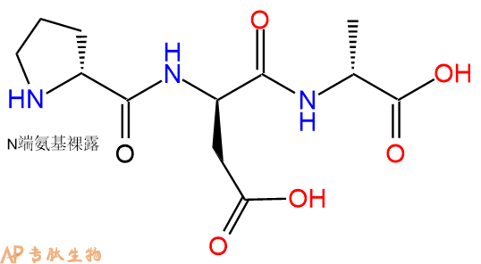 专肽生物产品H2N-DPro-DAsp-DAla-COOH