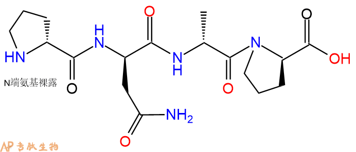 专肽生物产品H2N-DPro-DAsn-DAla-DPro-COOH
