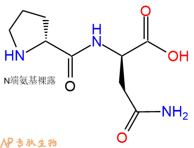 专肽生物产品H2N-DPro-DAsn-COOH
