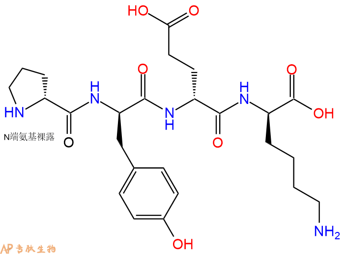 专肽生物产品H2N-DPro-DTyr-DGlu-DLys-COOH