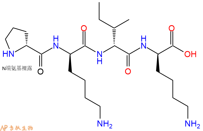 专肽生物产品H2N-DPro-DLys-DIle-DLys-COOH